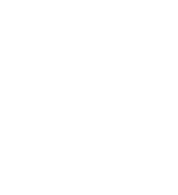 Logo Thunder Dog